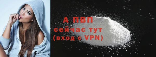 скорость Богданович