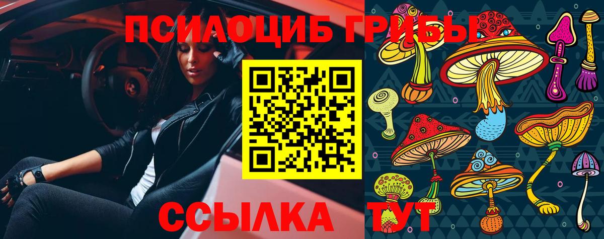 Пятигорск  Галлюциногенные грибы мухоморы  Вход с VPN 