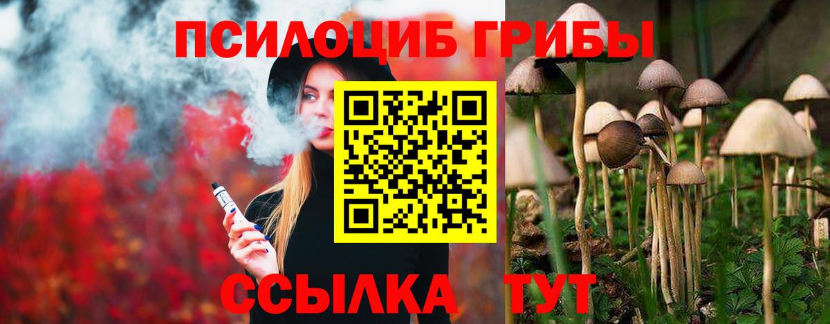 Псилоцибиновые грибы прущие грибы Пятигорск